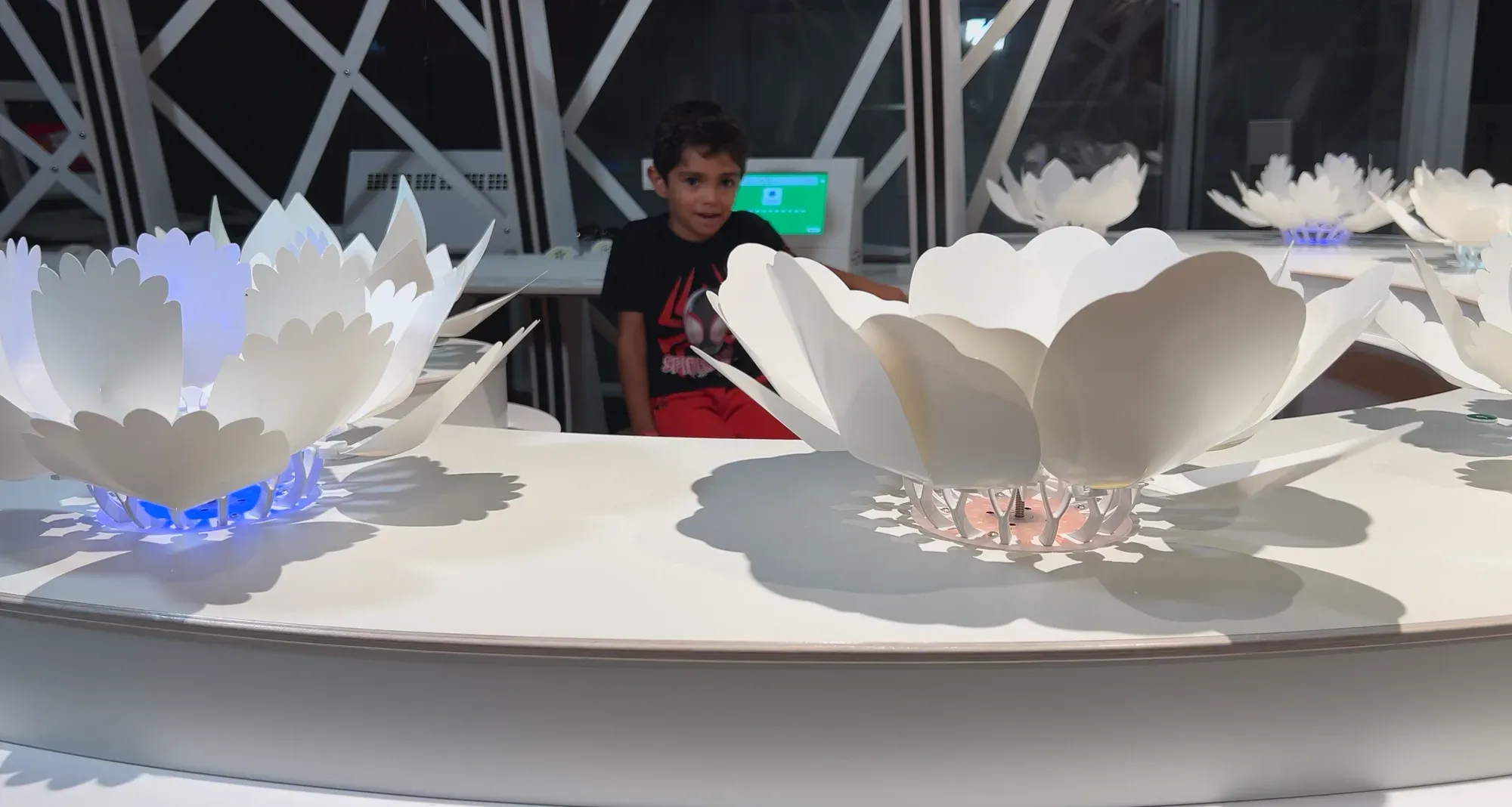 Two blossoms with their petals fully open on the white bench while a boy watches from behind