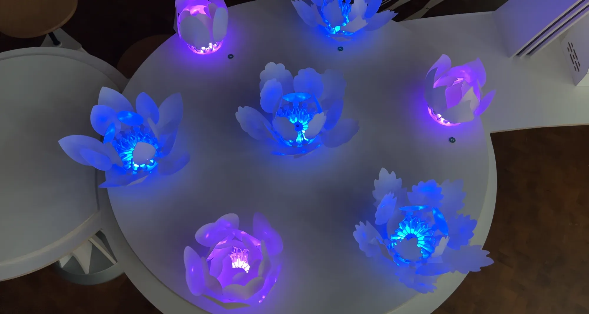 Blossoms on the round table glowing blue and purple in the dark